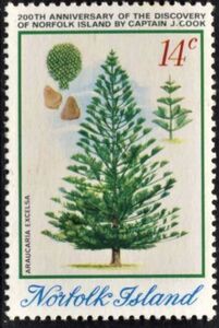 Stamp Norfolk Island Pine Cone And Seedling Norfolk Island Captain Cook Bicentenary Mi Nf 156 Sn Nf 177 Yt Nf 152 Sg Nf 154 Sev Nf 157