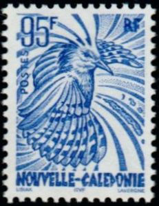 Kagu (Rhynochetos jubatus)