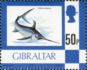 Swordfish (Xiphias gladius)