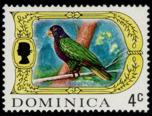 Sisserou (Amazona imperialis)