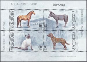 Horse, Donkey, Cat, Dog