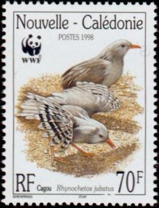 Kagu (Rhynochetos jubatus)