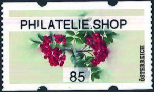 Rowan (Sorbus aucuparia)