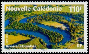 The Dumber - The meanders