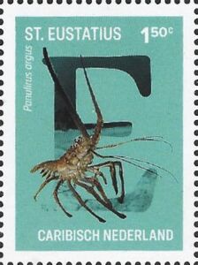 Caribbean Spiny Lobster (Panulirus argus)