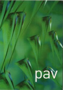 Pav