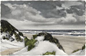 Insel Sylt In den Dünen