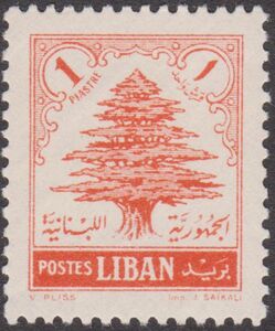 Cedar of Lebanon