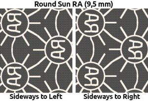 Cattle (Bos primigenius taurus)