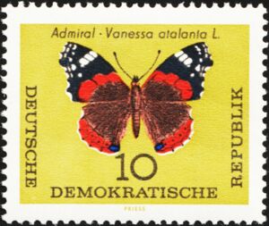 Red Admiral (Vanessa atalanta)