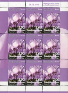 Ivy-Leaved Cyclamen (Cyclamen hederifolium Aiton)