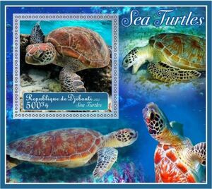 Fauna Sea turtles