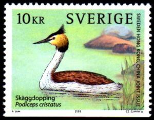 Great Crested Grebe (Podiceps cristatus)