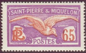 Glaucous Gull (Larus hyperboreus)