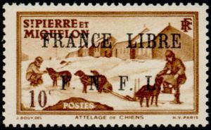 Team of Dogs overprinted