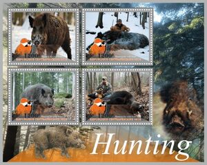 Hunting for Wild Boar