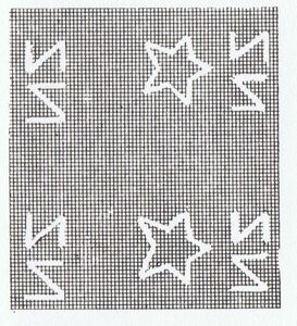 Brown Kiwi (Apteryx australis) (1906)