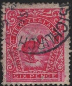 Brown Kiwi (Apteryx australis)