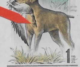 Magyar Vizsla (Canis lupus familiaris) Carrying Mallard Duck