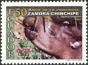 Lowland Tapir (Tapirus terrestris)