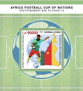 2022 Africa Cup of Nations, Cameroun