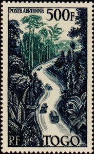 Jungle road