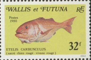 Stamp: Deepwater Red Snapper (Etelis carbunculus) (Wallis and Futuna ...