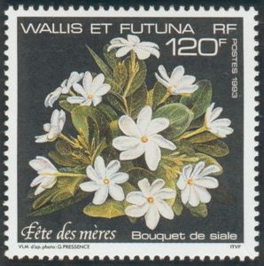 Mothers' Day - Bouquet of Stephanotis