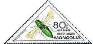 Giant Ruby-tailed Wasp (Stilbum cyanurum)