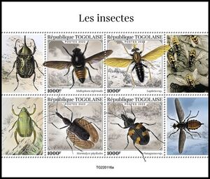 Stamp: Insects (Togo(Insects (2022)) Col:TG 2022.01.31-46