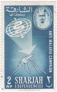 Arrow on Anopheles Mosquito