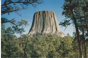 wonderful wyoming No 346 devil`s tower