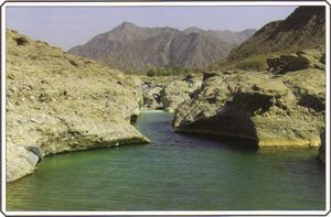 Wadi Al-Hoqain