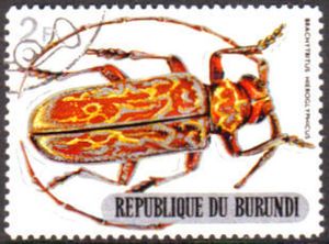 Stamp: Longhorn Beetle (Brachytritus hieroglyphicus) (Burundi
