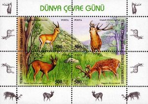 Cloven-hoofed Animals