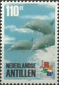 Spinner Dolphin (Stenella longirostris)