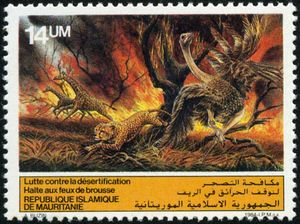 Fight against desertification