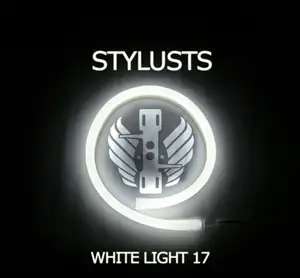 The Stylusts: White Light 17