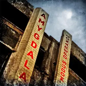 Amygdala: Modus Operandi