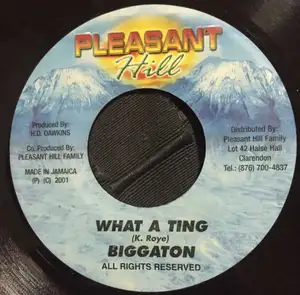Biggaton: What A Ting
