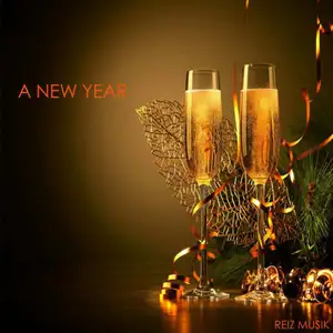 Various: A New Year
