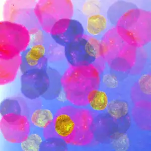 R55: Universal Sounds