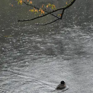 Rhucle: Personal Time