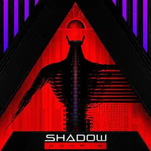 Shadow Domain: Digital Divide