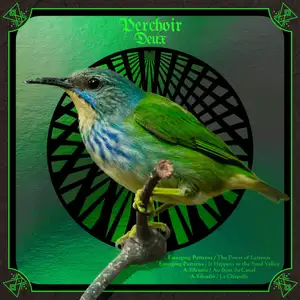 Emerging Patterns, A.Silentio: Perchoir Deux