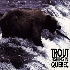 Trout Fishing In Quebec: Incentivation