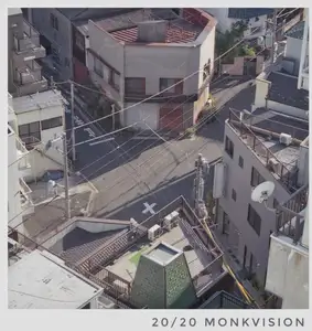 Monkvision: 20/20 Monkvision