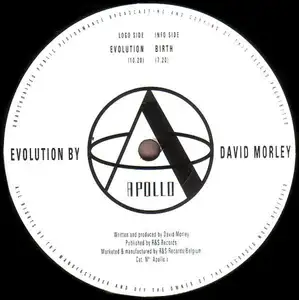 David Morley: Evolution