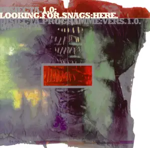 Disjecta: Looking For Snags