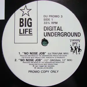 Digital Underground: No Nose Job